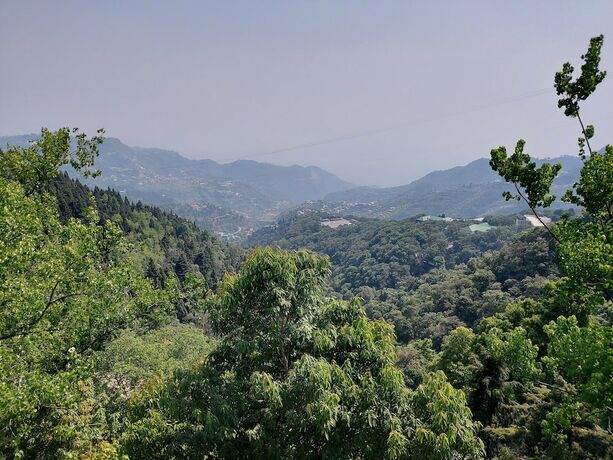 Imagen general del Hotel Forest View by DLs. Foto 13