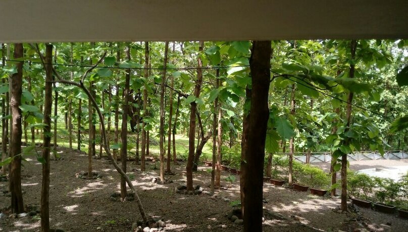 Imagen general del Hotel Forest Village Holiday Homes. Foto 10