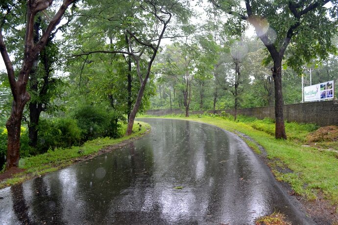 Imagen general del Hotel Forest Village Holiday Homes. Foto 12