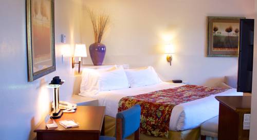 Imagen de la habitación del Hotel Forest Villas. Foto 10