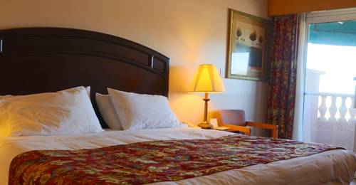 Imagen de la habitación del Hotel Forest Villas. Foto 15