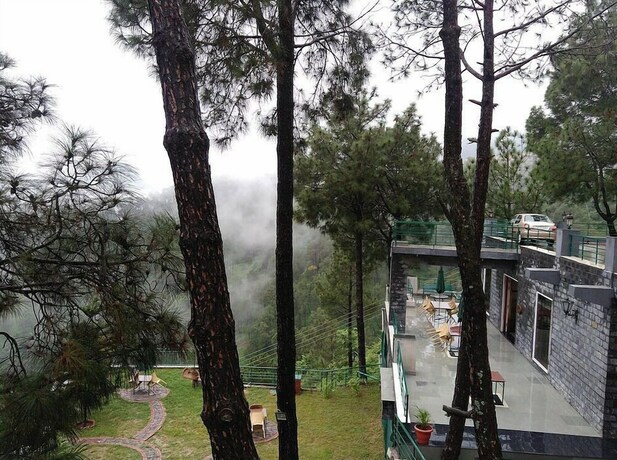 Imagen general del Hotel Forest Ville and Resort. Foto 17