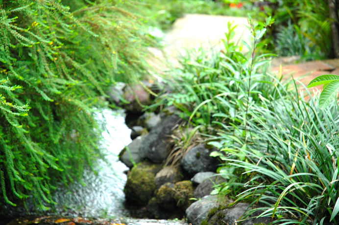 Imagen de los exteriores del Hotel Foresta Inn Family Resort. Foto 7