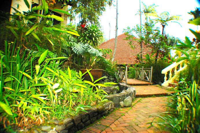 Imagen del bar/restaurante del Hotel Foresta Inn Family Resort. Foto 4