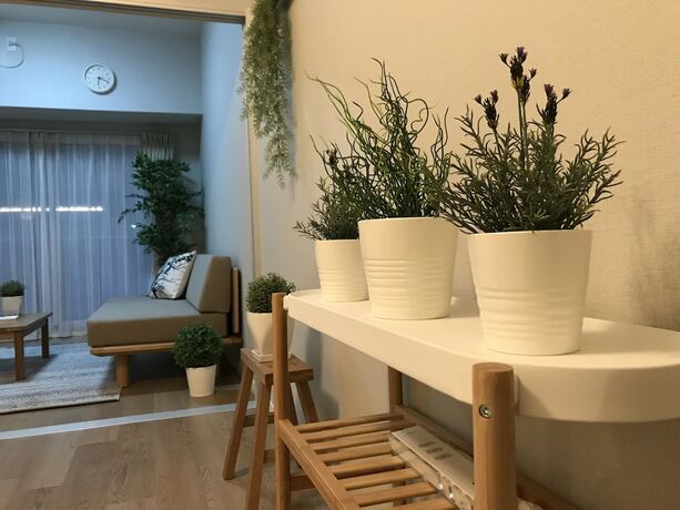 Imagen general del Hotel Forestay Shinsaibashi. Foto 16