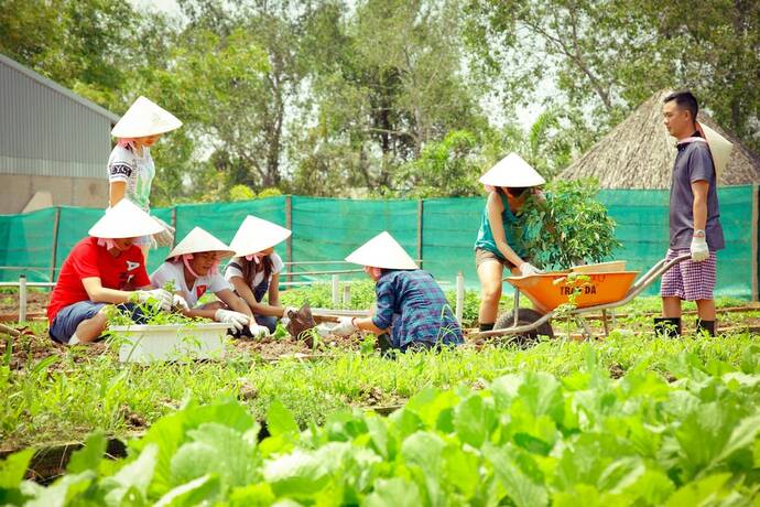 Imagen general del Hotel Forever Green Resort. Foto 5