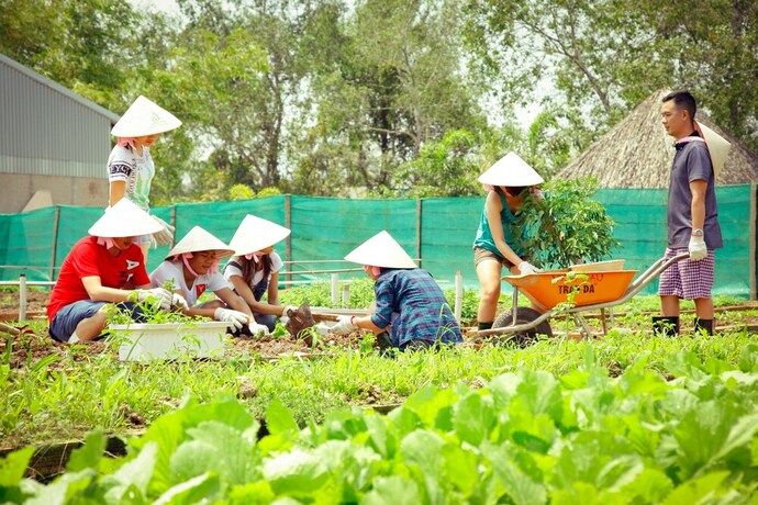 Imagen de la habitación del Hotel Forever Green Resort. Foto 22