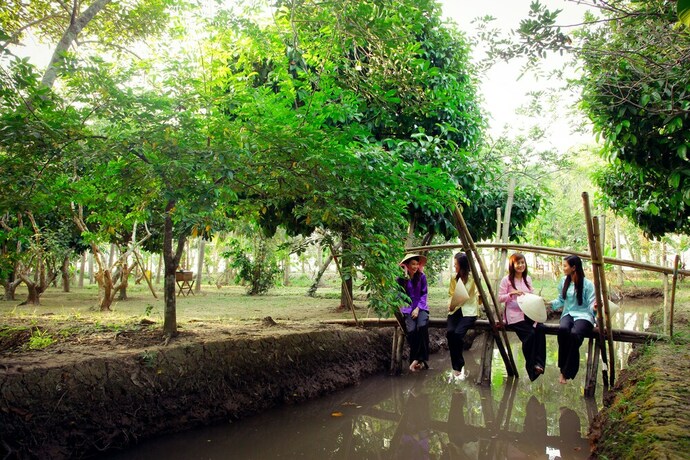 Imagen de la habitación del Hotel Forever Green Resort. Foto 27