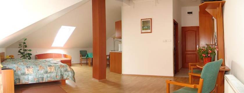 Imagen de la habitación del Hotel Forr&aacute;s Zalakaros. Foto 10