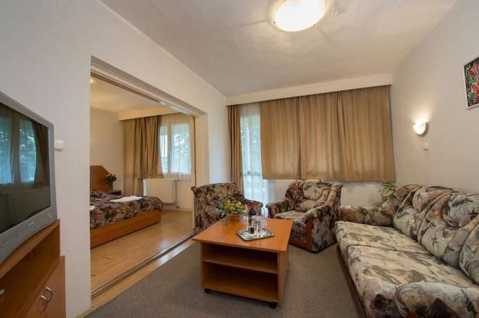 Imagen de la habitación del Hotel Forr&aacute;s Zalakaros. Foto 11