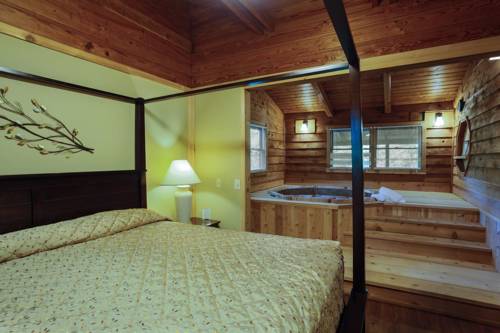 Imagen de la habitación del Hotel Forrest Hills Mountain Resort. Foto 6