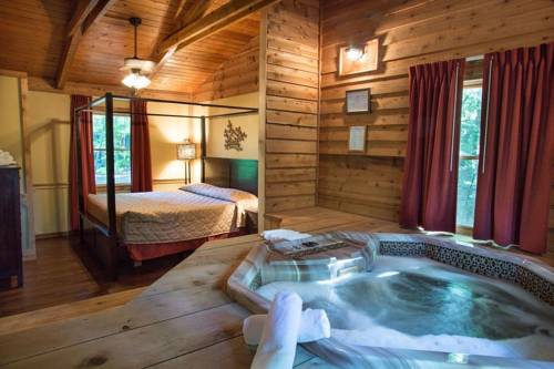 Imagen de la habitación del Hotel Forrest Hills Mountain Resort. Foto 10