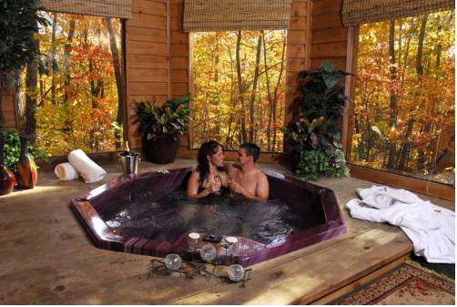 Imagen de la habitación del Hotel Forrest Hills Mountain Resort. Foto 15