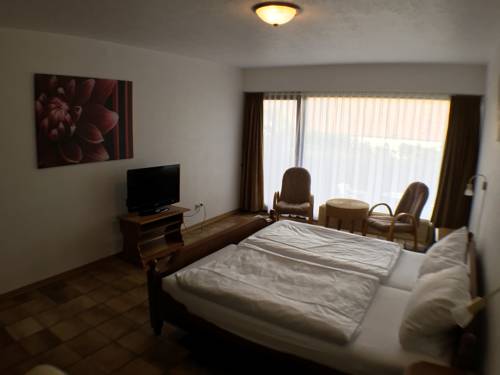 Imagen de la habitación del Hotel Forsthaus Alter Foerster. Foto 6