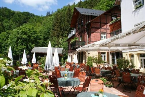 Imagen general del Hotel Forsthaus, Bad Schandau. Foto 2