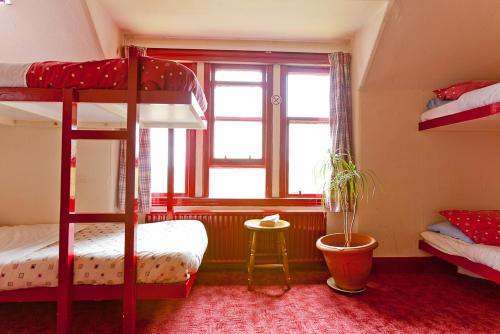 Imagen de la habitación del Hotel Fort William Backpackers. Foto 7