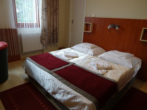 Imagen de la habitación del Hotel Fortuna, Miskolc. Foto 3