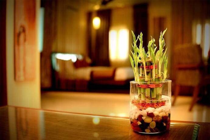 Imagen general del Hotel Fortune Palace, Jamnagar. Foto 5
