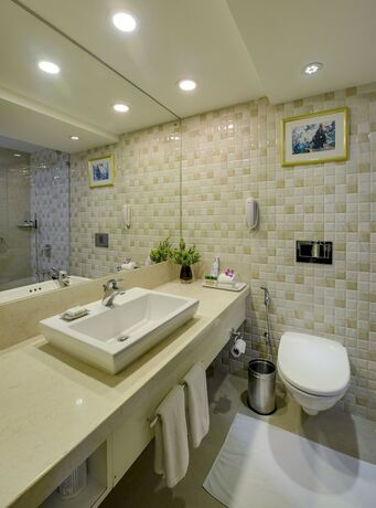 Imagen general del Hotel Fortune Park Galaxy - Itc Group. Foto 5