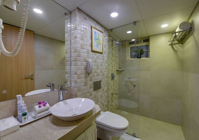 Imagen general del Hotel Fortune Park Galaxy - Itc Group. Foto 14