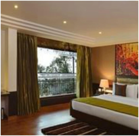 Imagen de la habitación del Hotel Fortune Park Moksha - Member Itc Group, Mcle. Foto 12