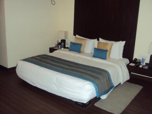 Imagen de la habitación del Hotel Fortune Resort Grace - Member Itc Group. Foto 6