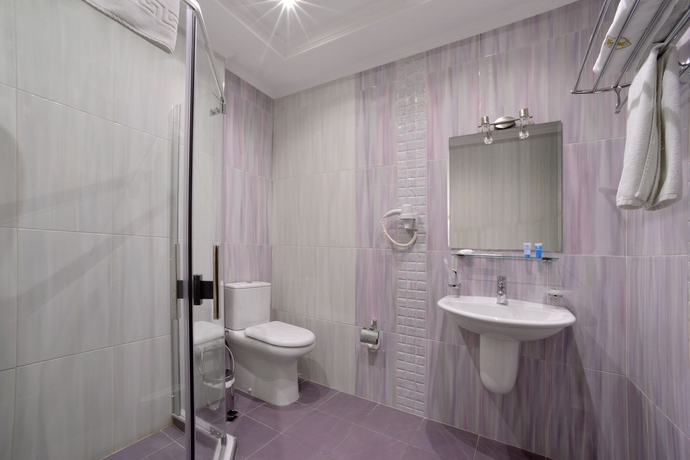 Imagen de la habitación del Hotel Forum, Erev&aacute;n. Foto 3