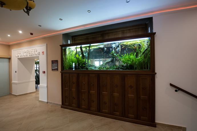 Imagen de los interiores del Hotel Forum Hotel. Foto 20