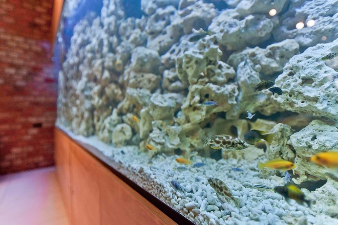 Imagen de los interiores del Hotel Forza. Foto 16