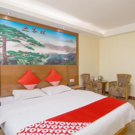Imagen de la habitación del Hotel Foshan Taitian. Foto 15