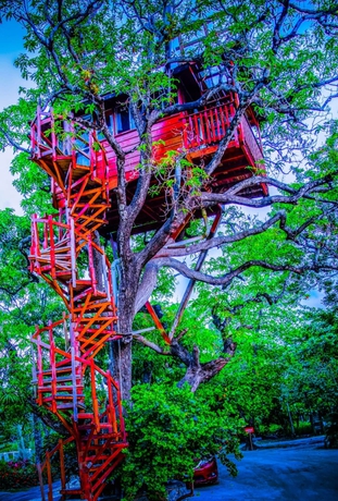 Imagen de la habitación del Hotel Foster's West Bay Resort. Foto 10