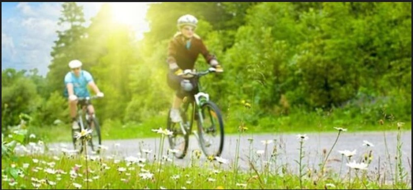 Imagen general del Hotel Found Santa Monica. Foto 1