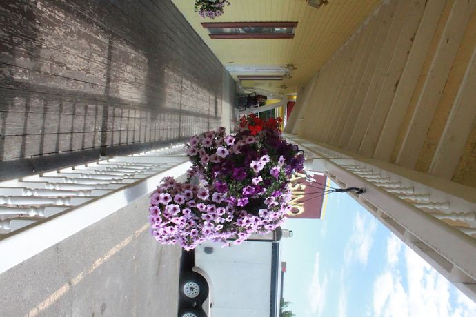 Imagen general del Hotel Four Jacks And Casino. Foto 2