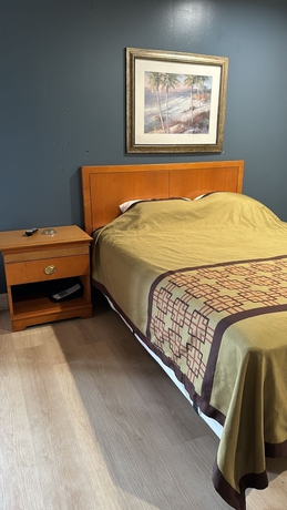 Imagen de la habitación del Hotel Four Oaks, Conway. Foto 6