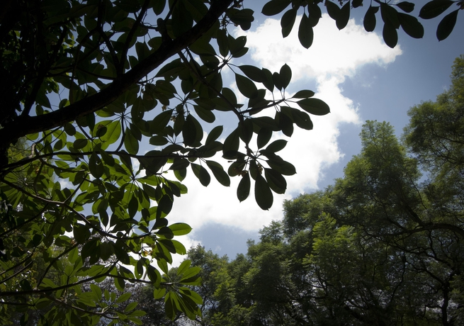 Imagen de los exteriores del Hotel Four Points By Sheraton Arusha, The Arusha, ARUSHA. Foto 12