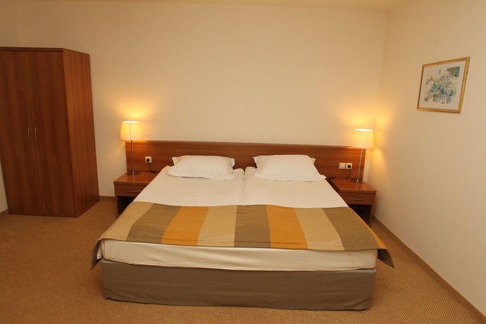 Imagen de la habitación del Hotel Four Points By Sheraton Bansko. Foto 8