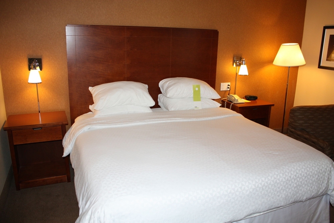 Imagen de la habitación del Hotel Four Points By Sheraton Chicago O'hare Airport. Foto 4