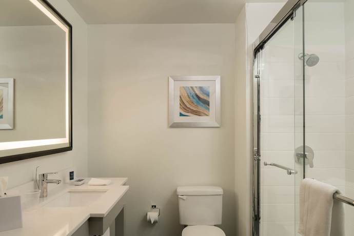 Imagen de la habitación del Hotel Four Points By Sheraton Dallas Arlington Entertainment District. Foto 9