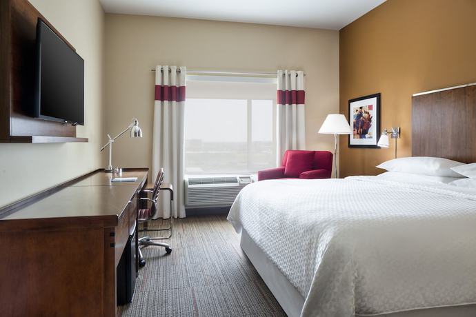 Imagen de la habitación del Hotel Four Points By Sheraton Dallas Fort Worth Airport North. Foto 9