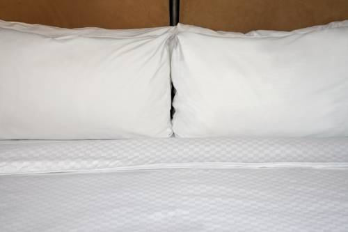 Imagen de la habitación del Hotel Four Points By Sheraton Juneau. Foto 5