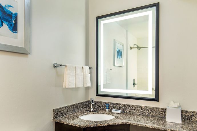 Imagen de la habitación del Hotel Four Points By Sheraton Kalamazoo. Foto 12
