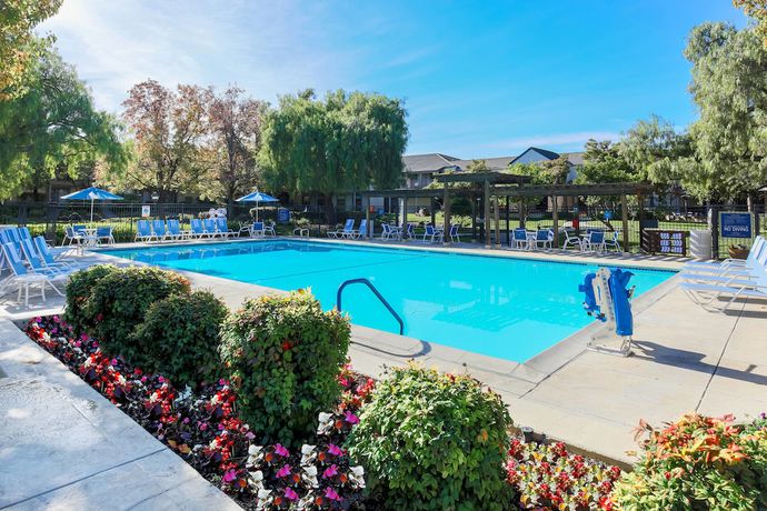 Imagen de la piscina del Hotel Four Points By Sheraton Pleasanton. Foto 16