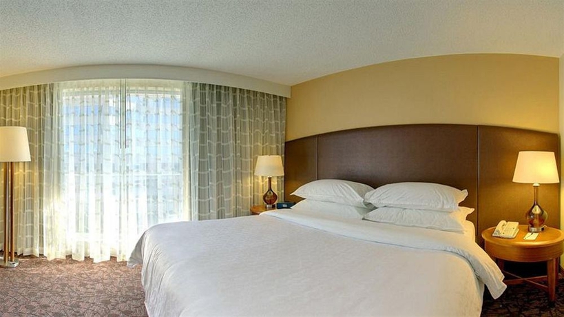 Imagen de la habitación del Hotel Four Points By Sheraton Suites Tampa Airport Westshore. Foto 4