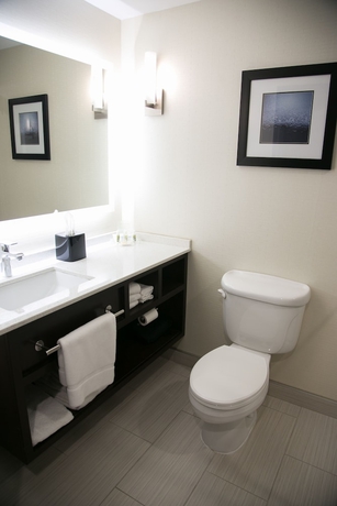 Imagen de la habitación del Hotel Four Points by Sheraton Birmingham Homewood. Foto 14