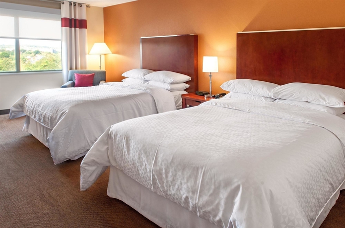 Imagen de la habitación del Hotel Four Points by Sheraton Boston Logan Airport Revere. Foto 9