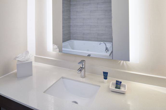 Imagen de la habitación del Hotel Four Points by Sheraton Detroit Novi. Foto 15