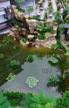 Imagen general del Hotel Four Points by Sheraton Johor Bahru. Foto 3