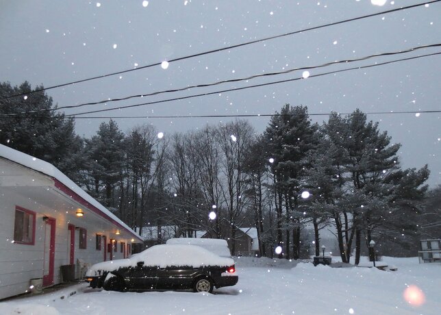 Imagen general del Hotel Four Seasons Motel. Foto 16