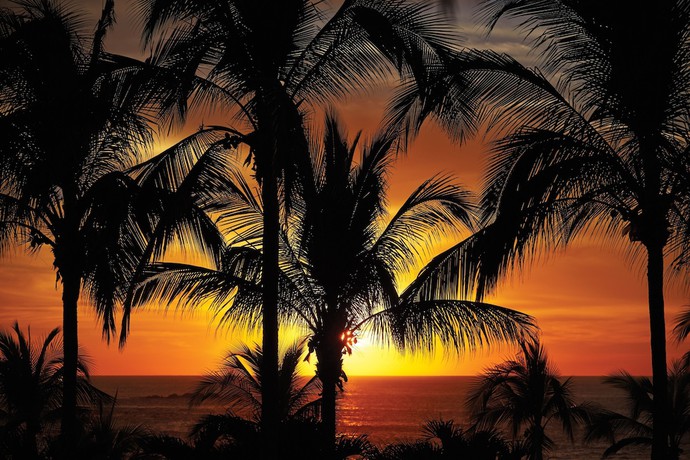 Imagen general del Hotel Four Seasons Resort Punta Mita. Foto 1