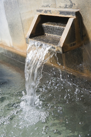 Imagen de la piscina del Hotel Four Seasons, Takayama. Foto 8
